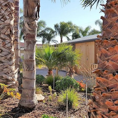 The Courtyard - Garden View Studio Port Pirie Exteriör bild