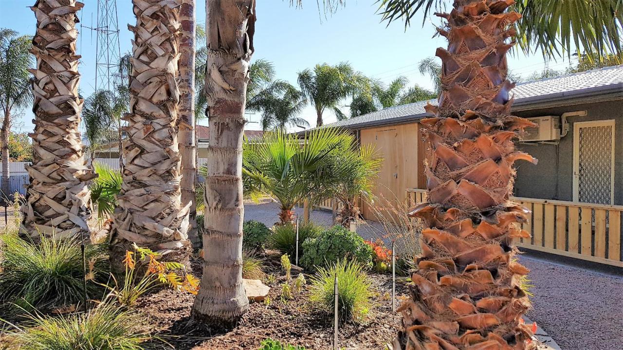 The Courtyard - Garden View Studio Port Pirie Exteriör bild